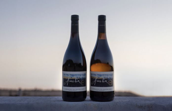 Amelia Pinot Noir 2022